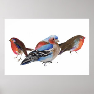 Birds of a feather 2011 poster