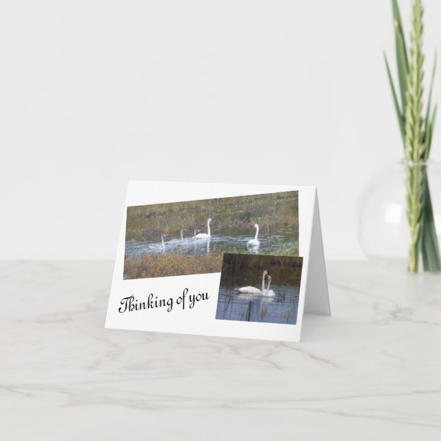 Birds of a Feather Blank Note Cards (Front)