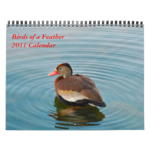Birds of a Feather Calendar