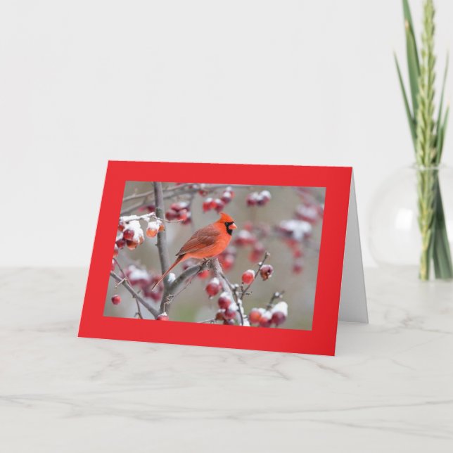 BIRDS OF A FEATHER/CELEBRATE TOGETHER BIRTHDAY! CARD (Front)