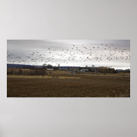 Birds Of A Feather Flock Together fine art print