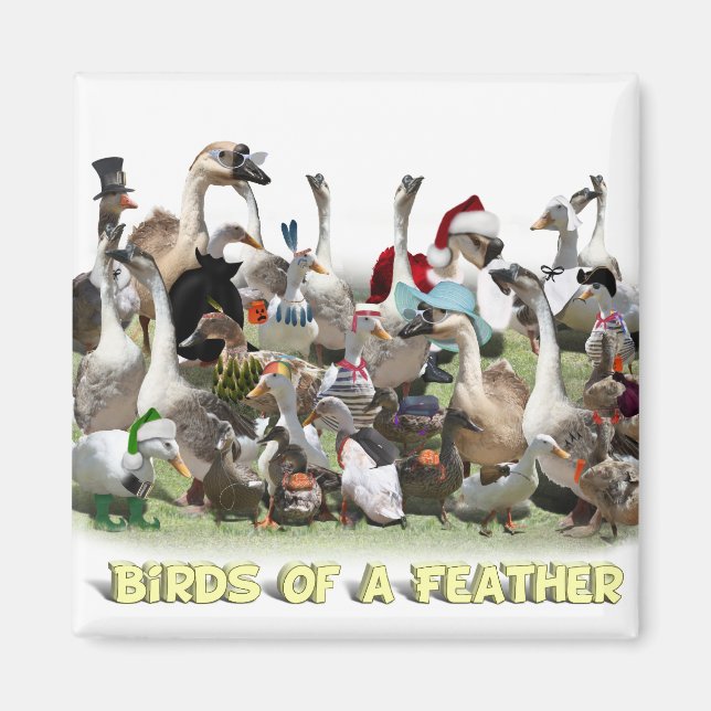 Birds of a Feather Magnet (Front)
