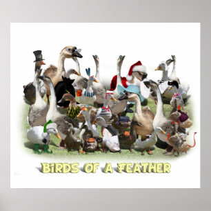 Birds of a Feather Poster