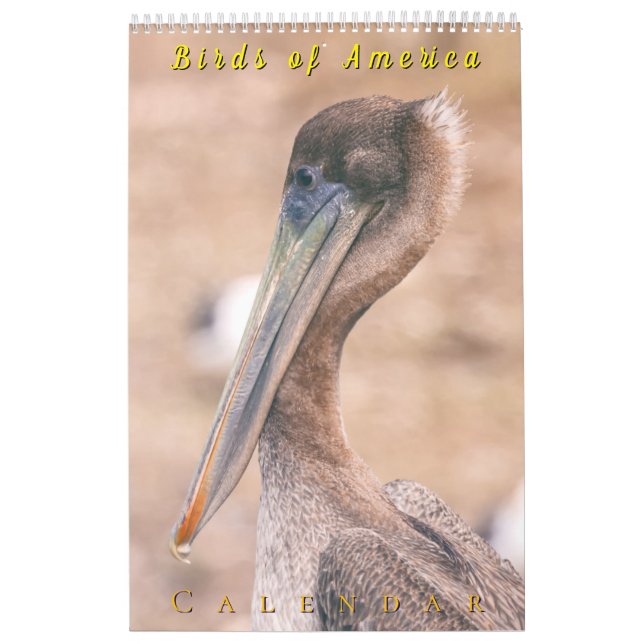 Birds of America Calendar (Cover)
