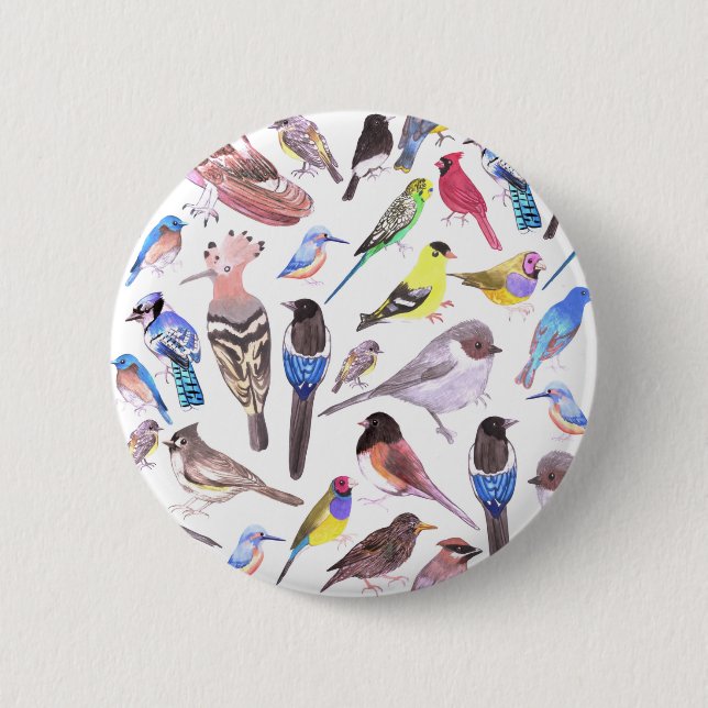 Birds of America- pets and wild birds 6 Cm Round Badge (Front)