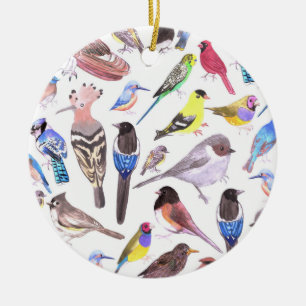 Birds of America- pets and wild birds Ceramic Ornament