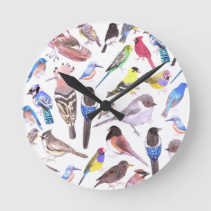 Birds of America- pets and wild birds Round Clock