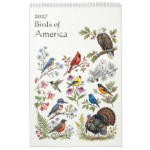 Birds of America - Single Page 2027