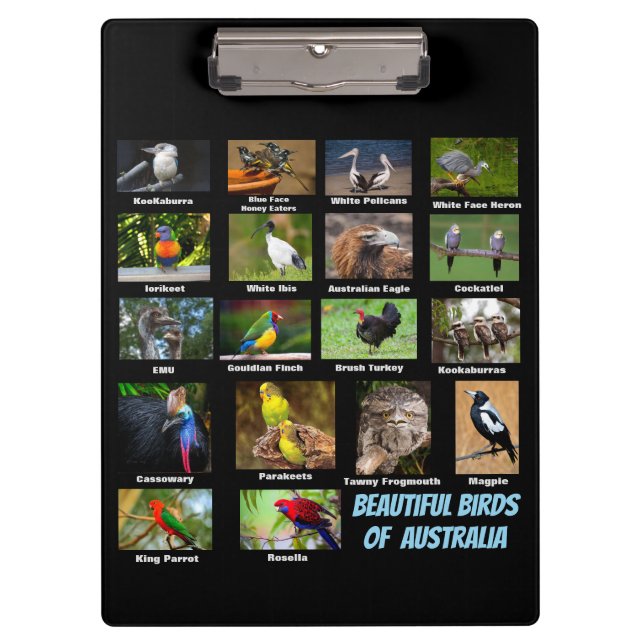 Birds of Australia Clipboard (Front)