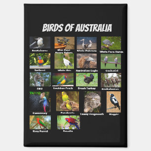 Birds of Australia Magnet