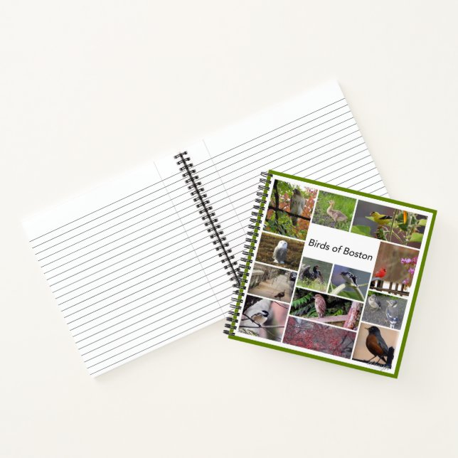 Birds of Boston Notebook (Inside)