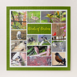 Birds of Boston Photo Collage Jigsaw Puzzle