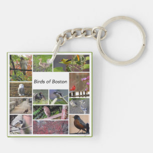 Birds of Boston Photo Collage Key Ring