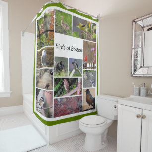 Birds of Boston Photo Collage Shower Curtain