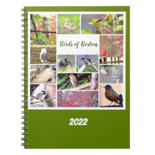 Birds of Boston Photo Notebook