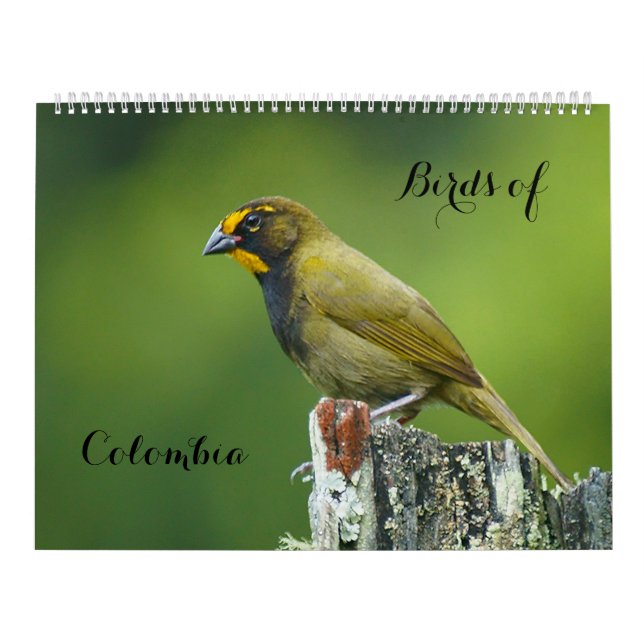 Birds of Colombia Calendar (Cover)