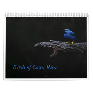 Birds of Costa Rica Calendar