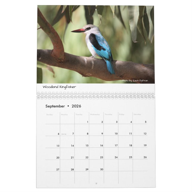 Birds of Ethiopia calendar (Sep 2026)