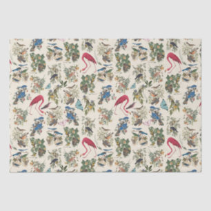 Birds of John James Audubon Tissue Paper