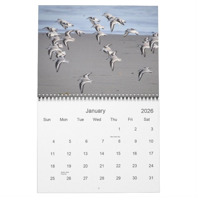 Birds of Mendocino Calendar (Jan 2026)