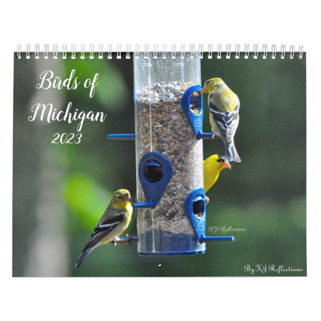 Birds of Michigan Calendar (Cover)