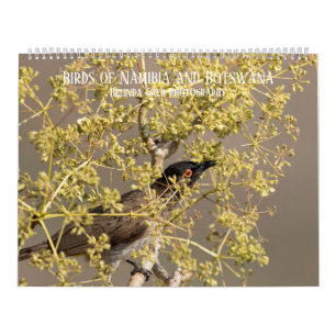 Birds of Namibia and Botswana Calendar