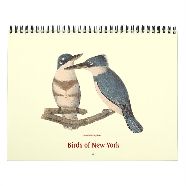Birds of New York Lithographs Calendar (Cover)
