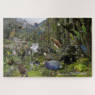 Birds of New Zealand puzzle
