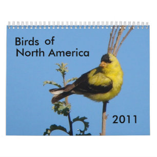 Birds of North America 2011 Calendar