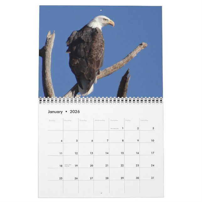 Birds of North America - 2015 Calendar (Jan 2026)
