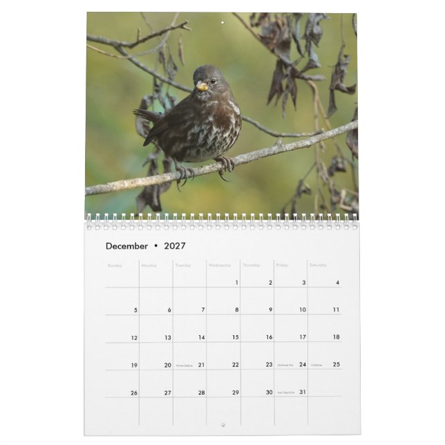 Birds of North America 2019 calendar (Dec 2027)