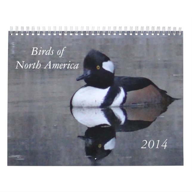 Birds of North America calandar Calendar (Cover)