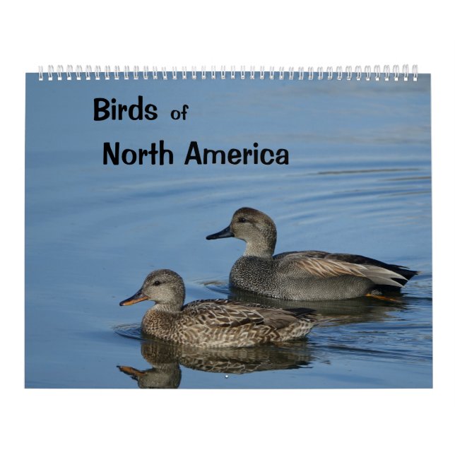Birds of North America Calendar (Cover)
