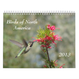 Birds of North America Calendar