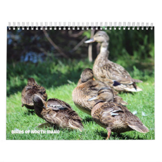Birds of North Idaho Calendar