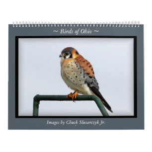 Birds of Ohio Wall Calendar