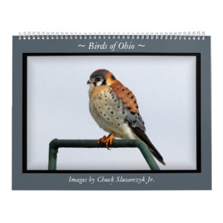 Birds of Ohio Wall Calendar