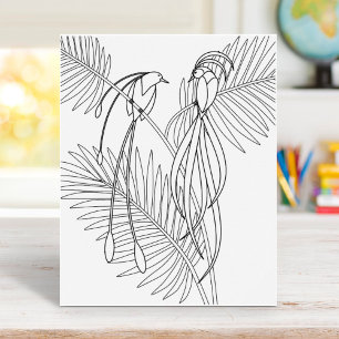 Birds of Paradise Colouring Page Poster