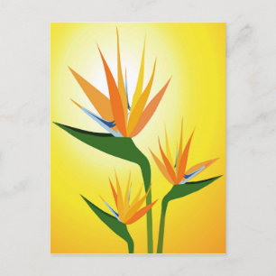 BIRDS OF PARADISE FLOWER DESIGN POSTCARD