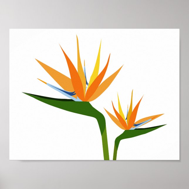 BIRDS OF PARADISE FLOWER POSTER (Front)