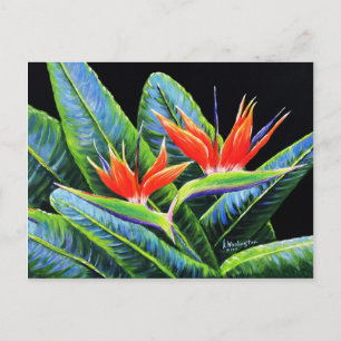 Birds of Paradise Postcard