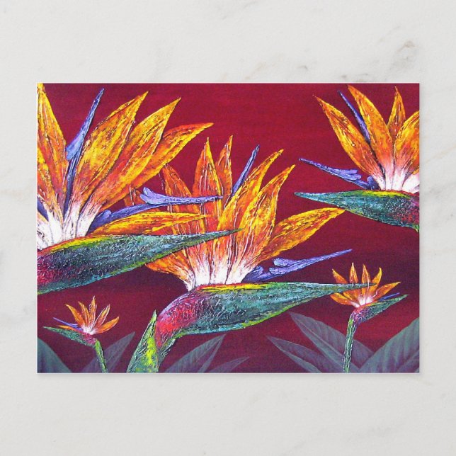 Birds Of Paradise Tropical Flower - Multi Postcard (Front)