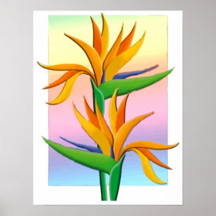 Birds of Paradise with Pastel Rainbow Background Poster