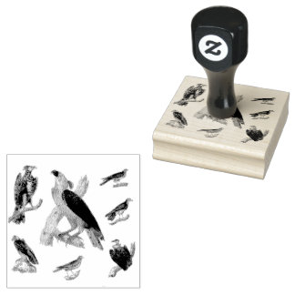 Birds of Prety Mixed Scrapbooking   Rubber Stamp