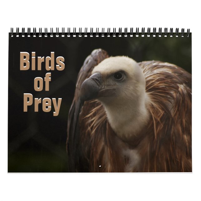 Birds of Prey 2022 Calendar (Cover)