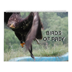 Birds Of Prey 2024 Calendar