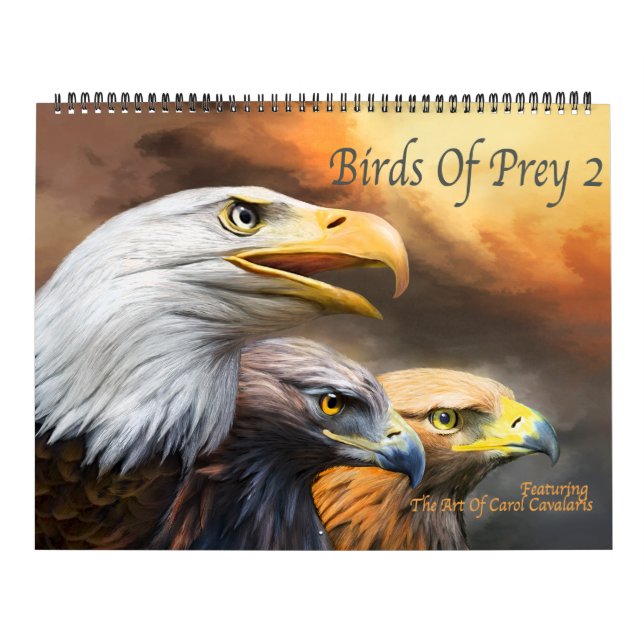 Birds Of Prey 2 Art Calendar (Cover)