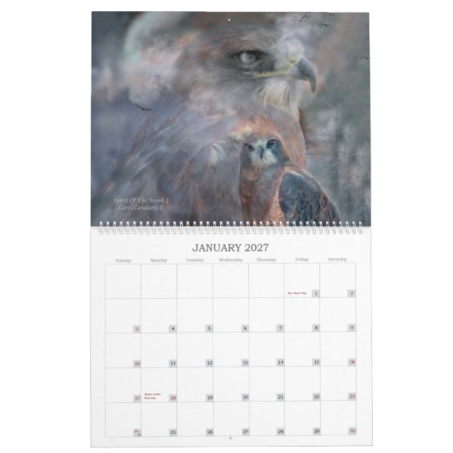 Birds Of Prey Art Calendar 2012 (Jan 2027)