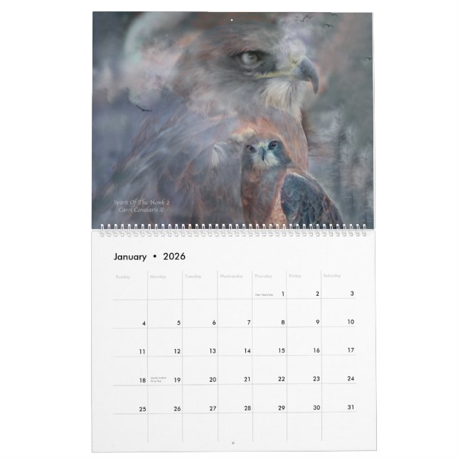 Birds Of Prey Art Calendar 2015 (Jan 2026)