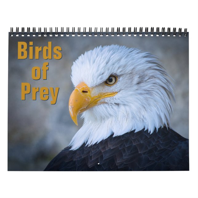Birds of Prey Calendar (Cover)